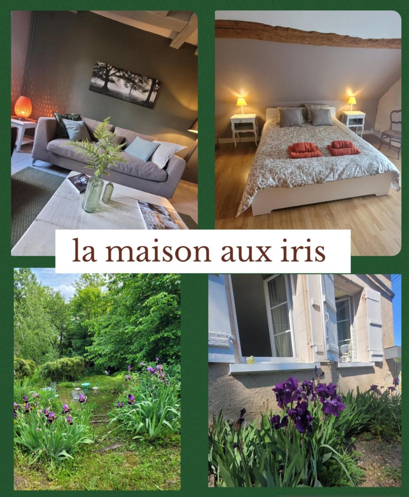 La Maison Aux Iris Poce-sur-Cisse Bagian luar foto