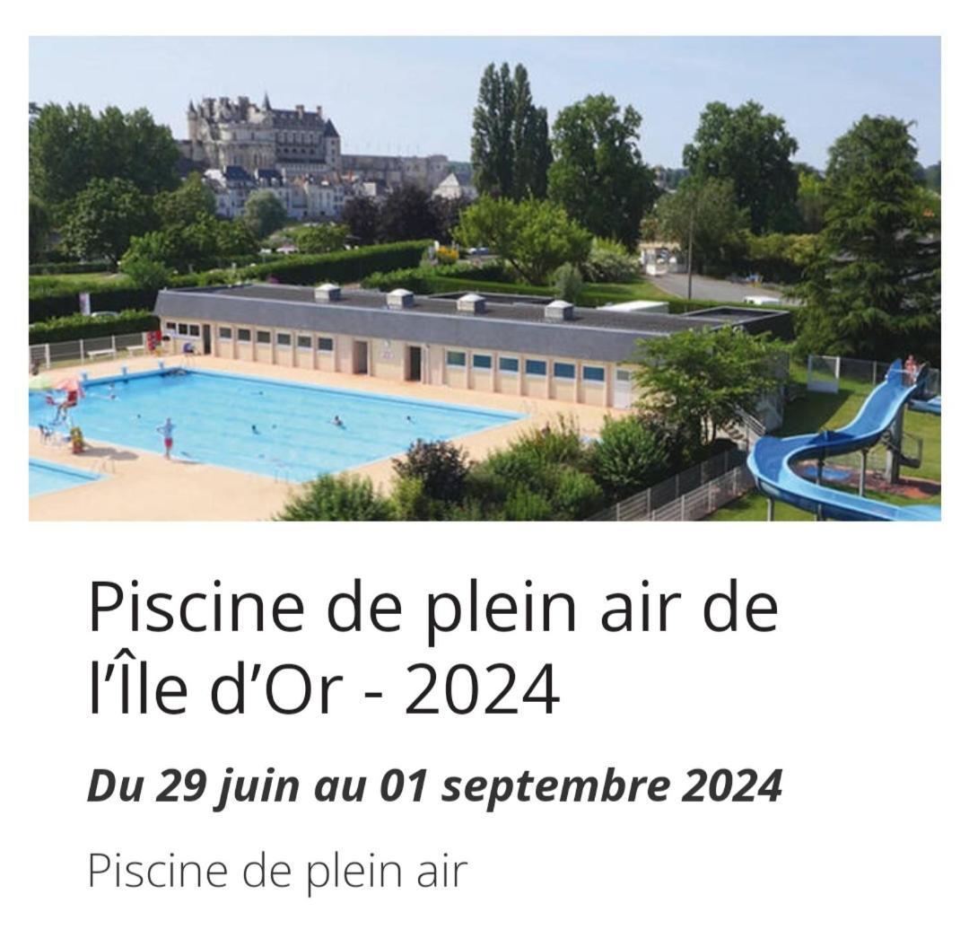 La Maison Aux Iris Poce-sur-Cisse Bagian luar foto