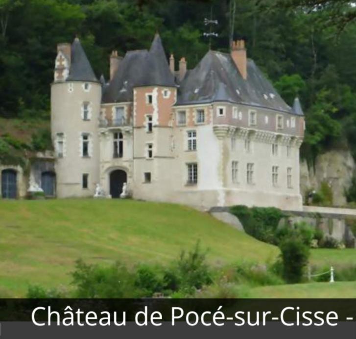 La Maison Aux Iris Poce-sur-Cisse Bagian luar foto